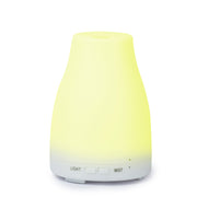 Remote control humidifier